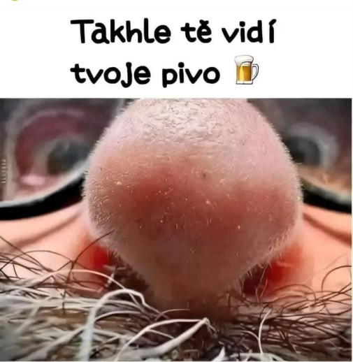 pivo ťa vidí...